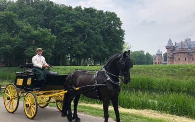 Rijtuigen in het kasteelpark